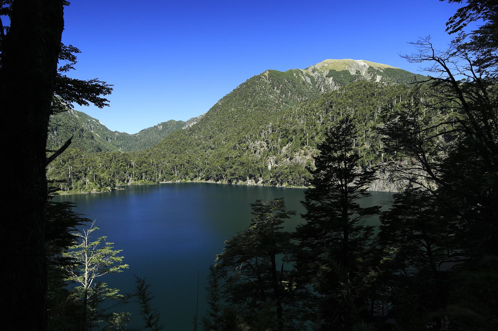 Lago Toro, Parque Nacional Huerquehue