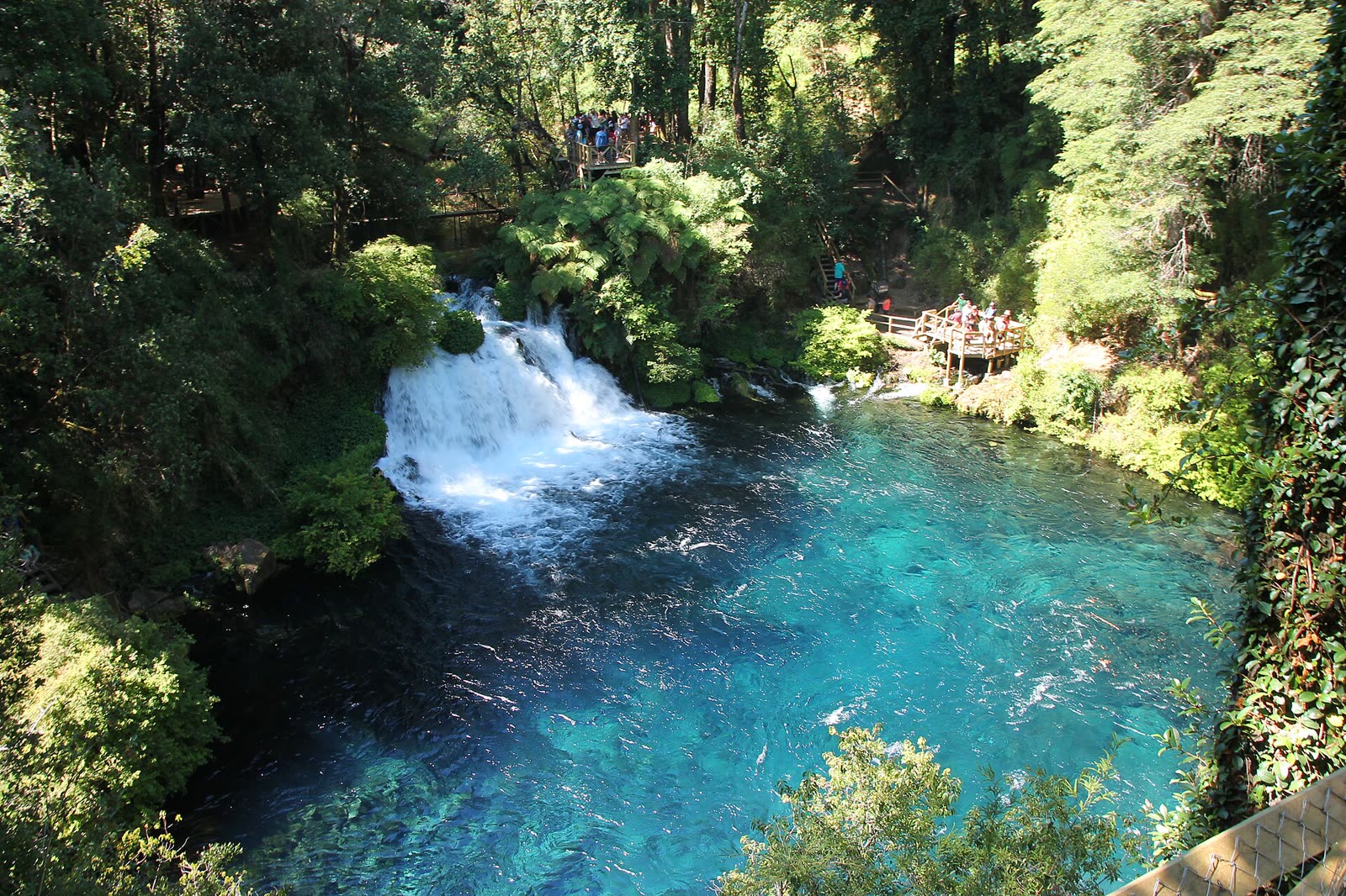 Aguas turquesa en los Ojos del Caburgua