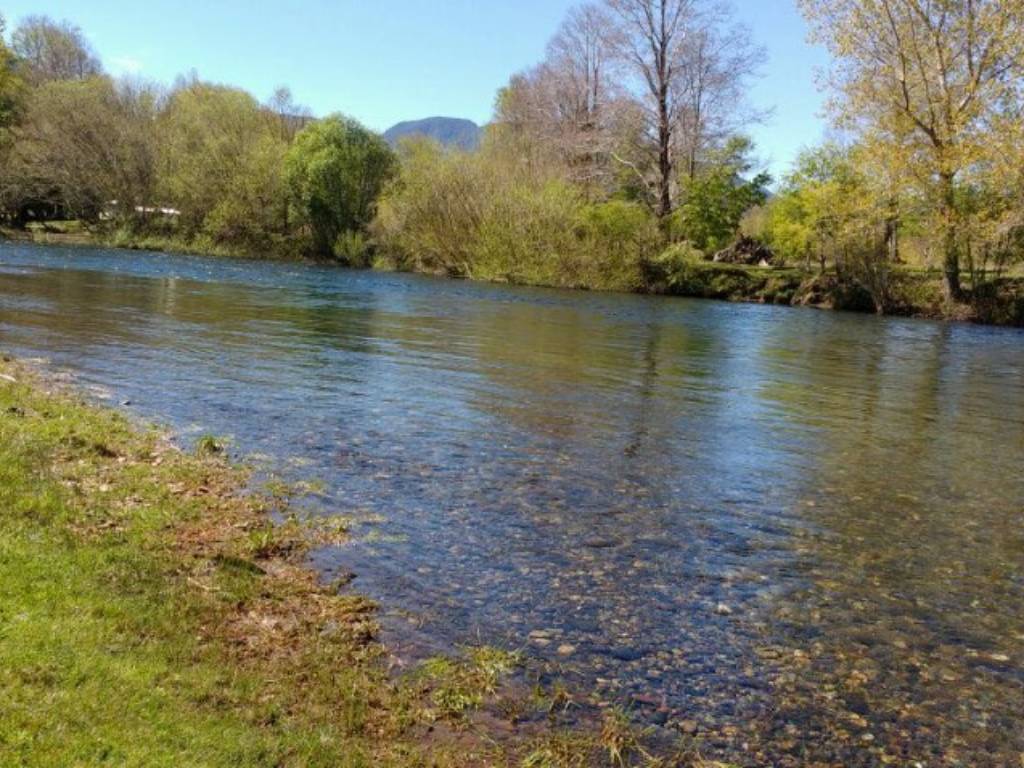 Orilla del río Liucura